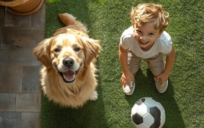 Cómo evitar malos olores en el césped artificial si tienes mascotas