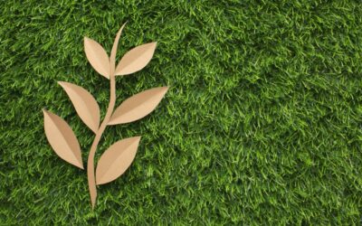 Cómo hacer que el césped artificial luzca más natural