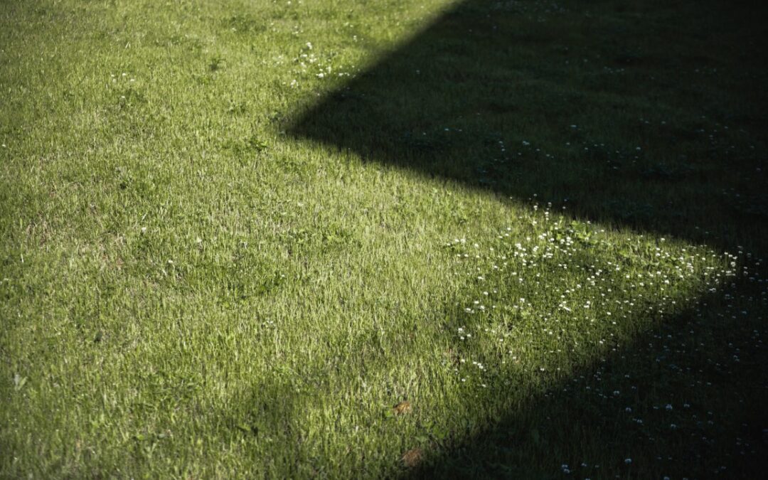 Césped artificial sombra