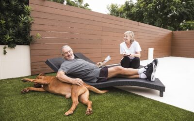 Cómo elegir el césped artificial ideal para jardines con mascotas