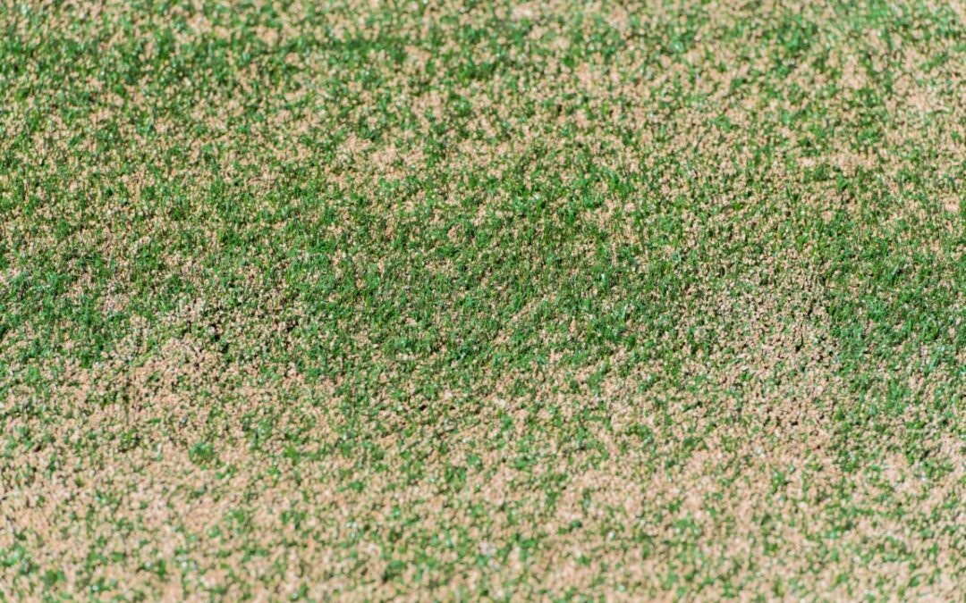 césped artificial descolorido