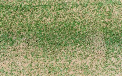 Qué hacer si el césped artificial se ha descolorido