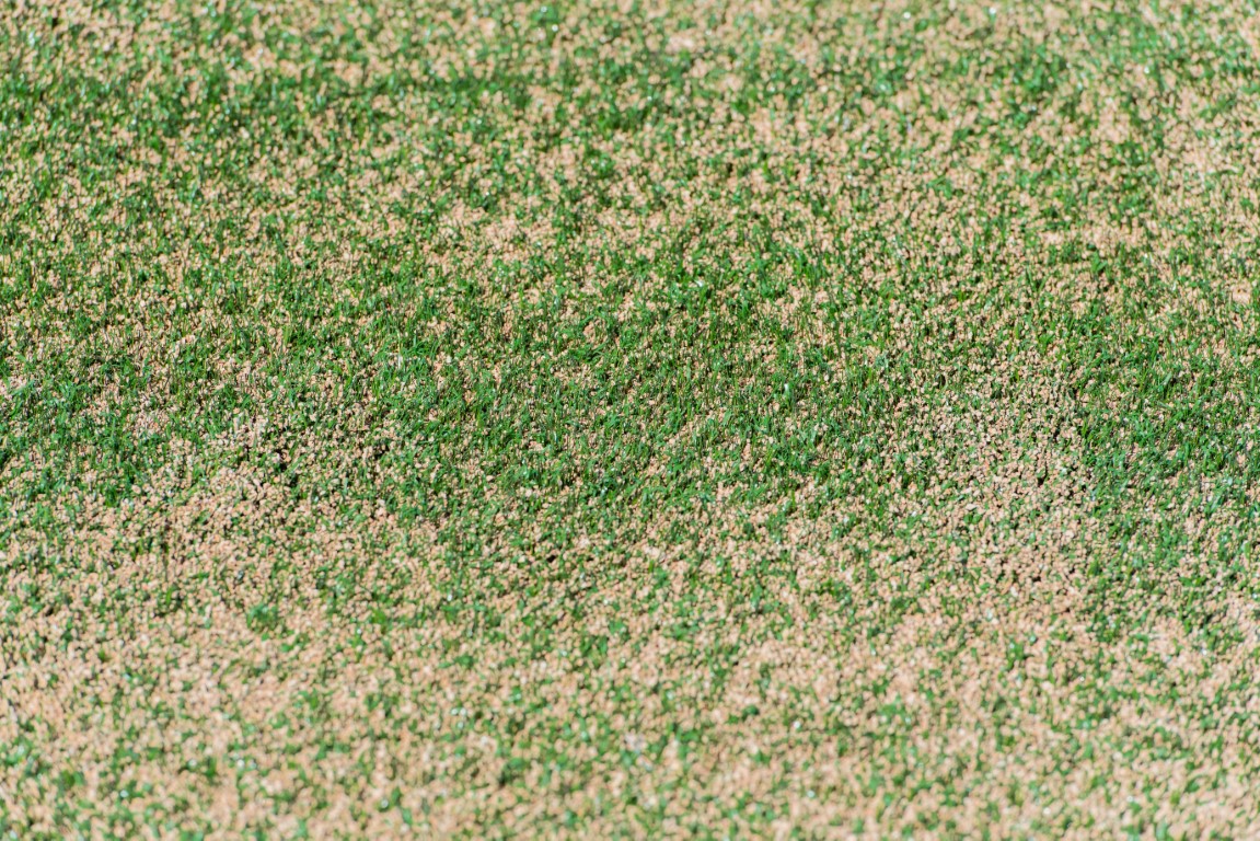 césped artificial descolorido