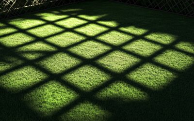 Qué tipo de césped artificial elegir para zonas de sombra total