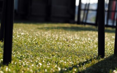 Qué césped artificial es ideal para jardines de bajo mantenimiento