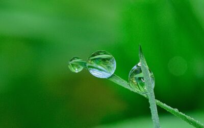 La importancia del drenaje al instalar césped artificial