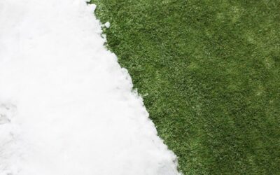 Césped artificial en climas fríos: Cómo adaptarlo a zonas heladas