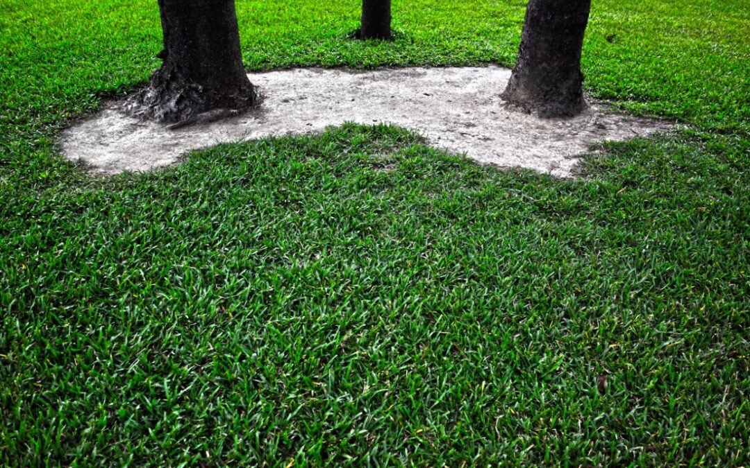 césped artificial en jardines con árboles