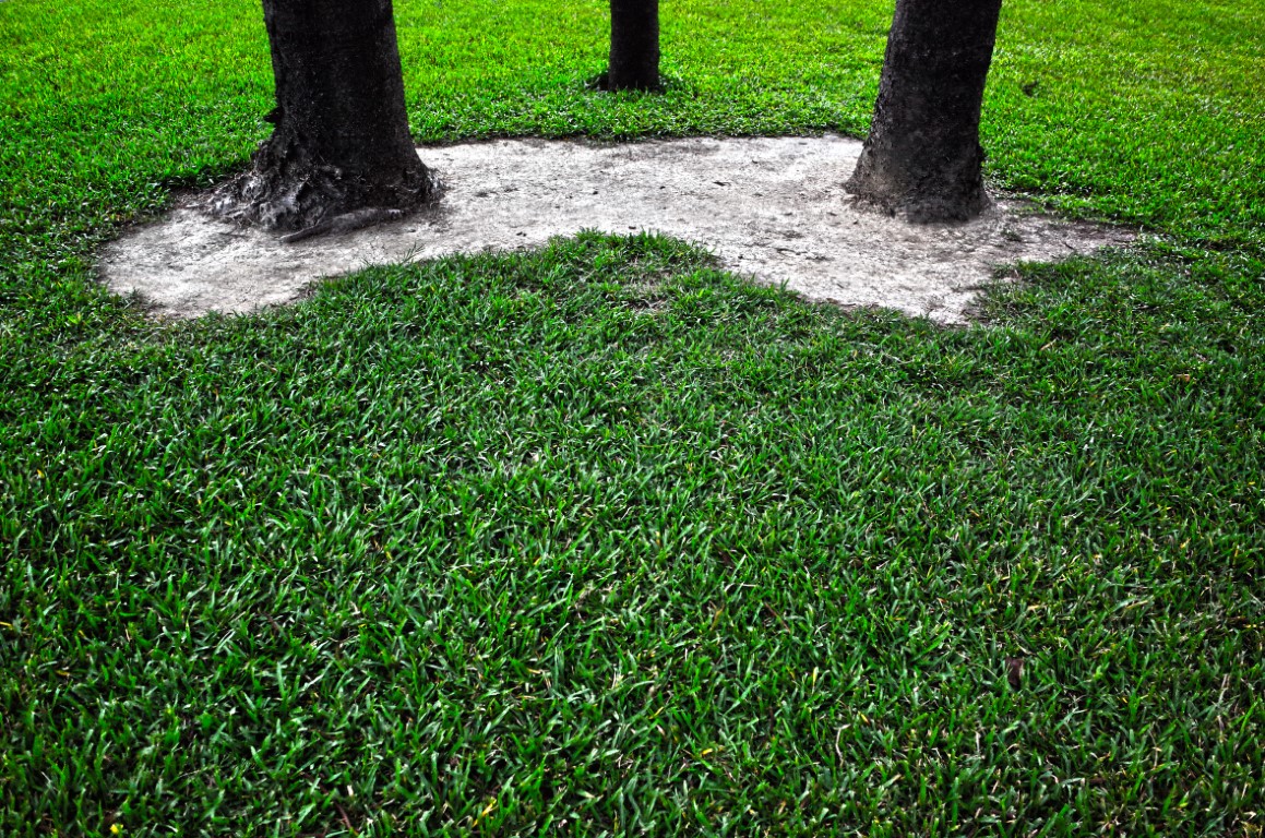 césped artificial en jardines con árboles