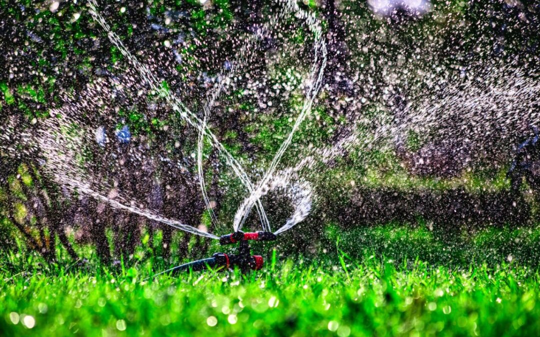 Beneficios de los sistemas de riego para refrescar el césped artificial en verano