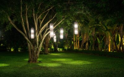 Cómo iluminar tu jardín con césped artificial para un efecto espectacular